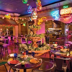 Circus circus reno craps