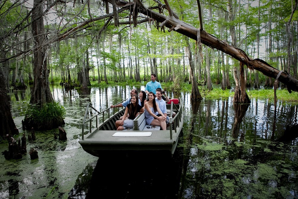 swamp boat tour baton rouge