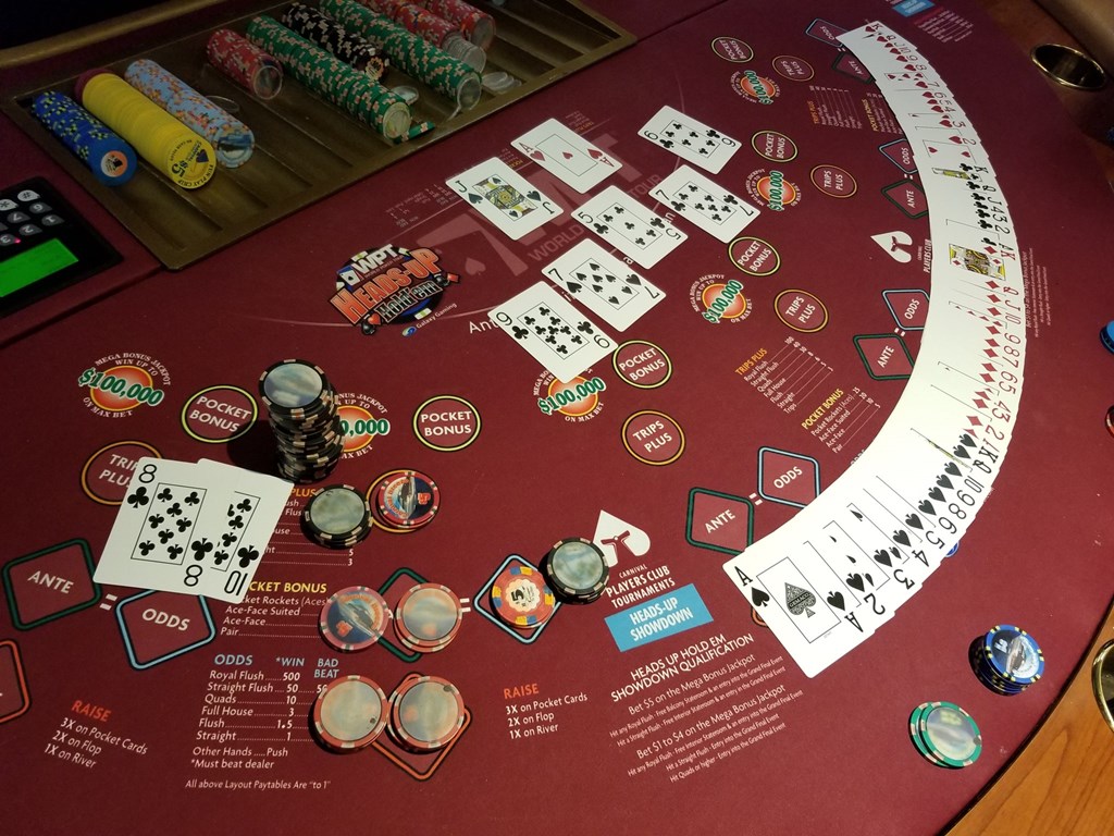 On a Carnival Premiere cruise last week. $3430 total pay... Post Image