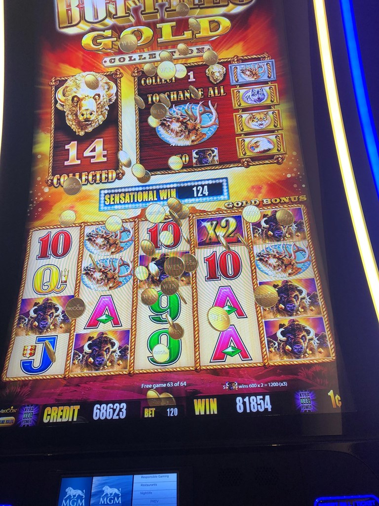 Buffalo gold
Ticket no jackpot Post Image