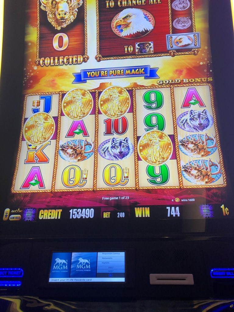 Buffalo gold
Ticket no jackpot Post Image
