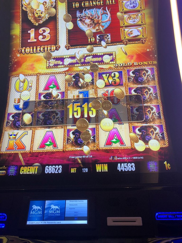 Buffalo gold
Ticket no jackpot Post Image