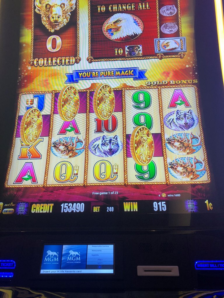 Buffalo gold
Ticket no jackpot Post Image