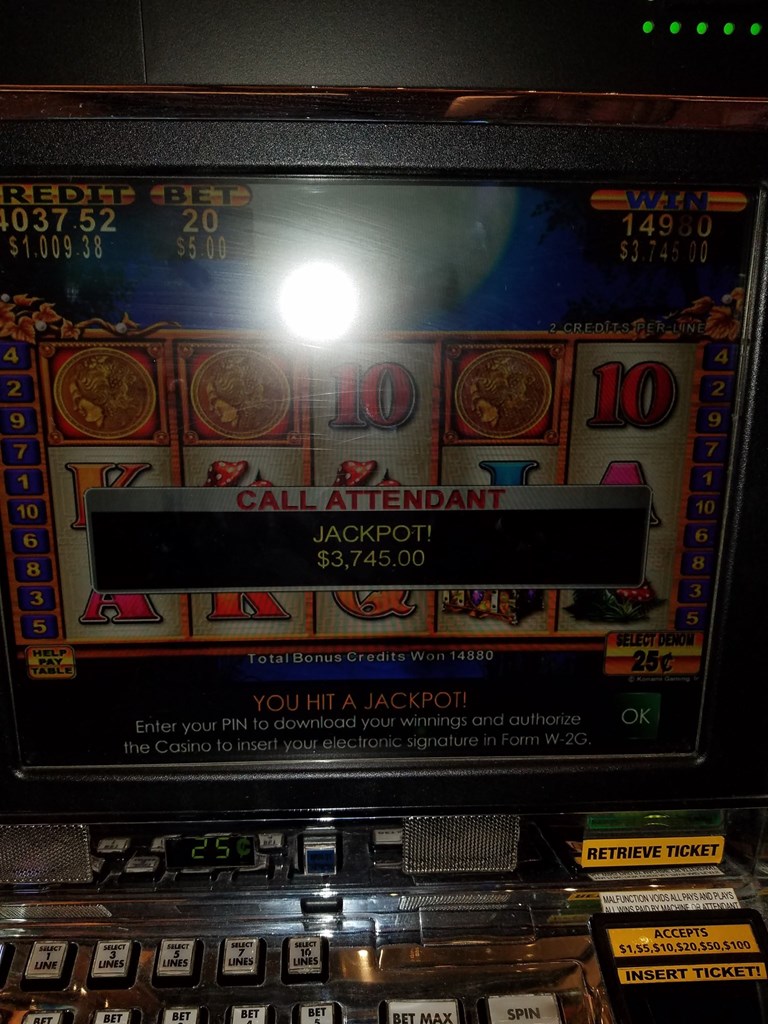 Birthday Gift at Seminole Hardrock Tampa
$3745 on a $5... Post Image