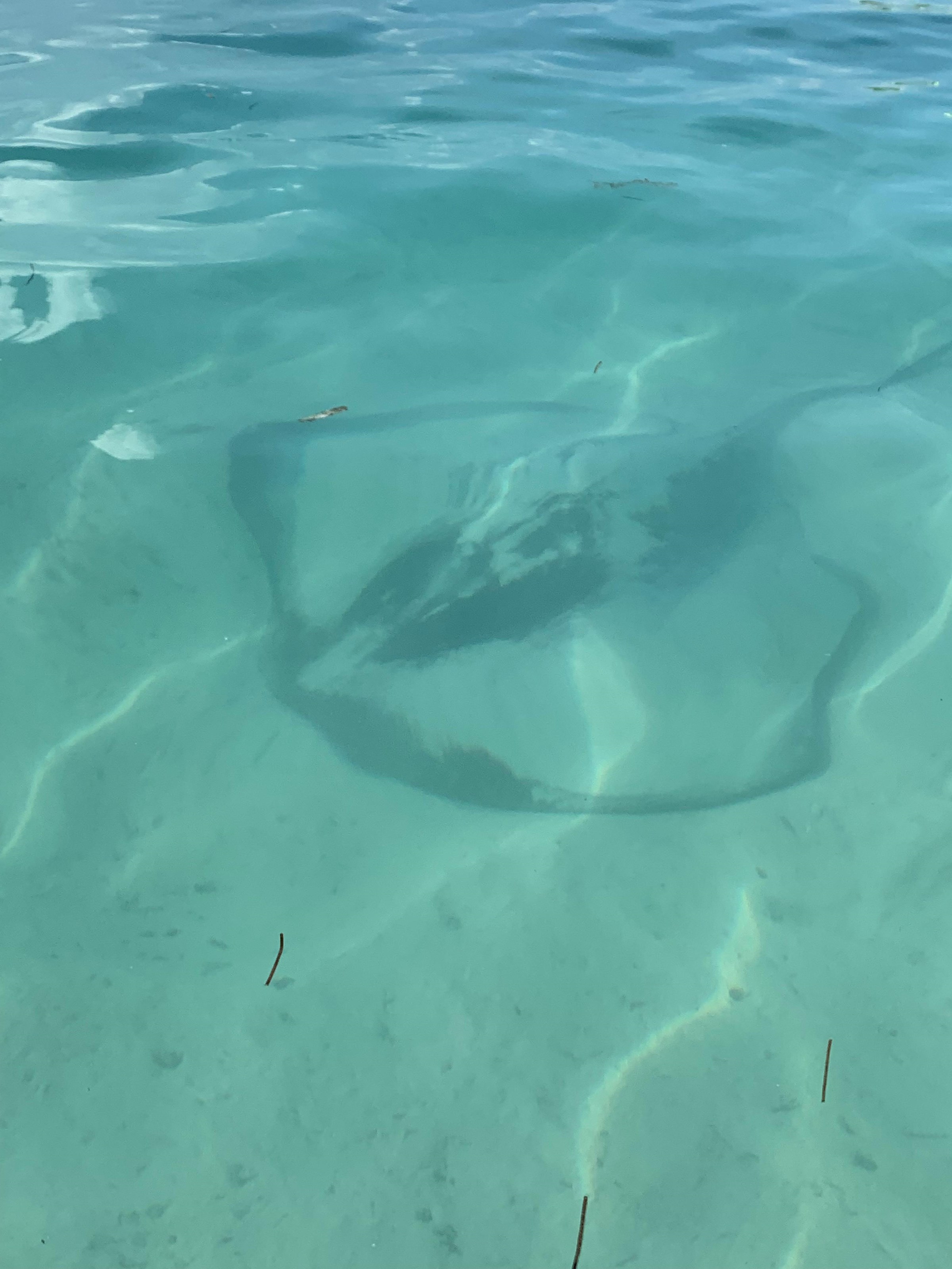 First cruise - (5/5) Post Image
