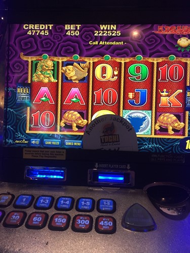 450$ bet Post Image